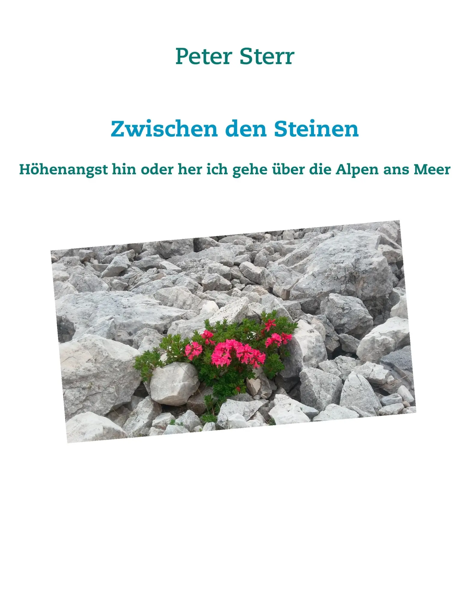 Cover: 9783746098777 | Zwischen den Steinen | Peter Sterr | Taschenbuch | 236 S. | Deutsch