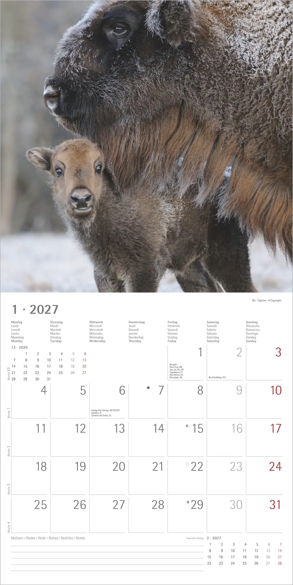 Bild: 4069095018877 | Tierbabys 2027 | Neumann Verlage GmbH &amp; Co KG | Kalender | 14 S.