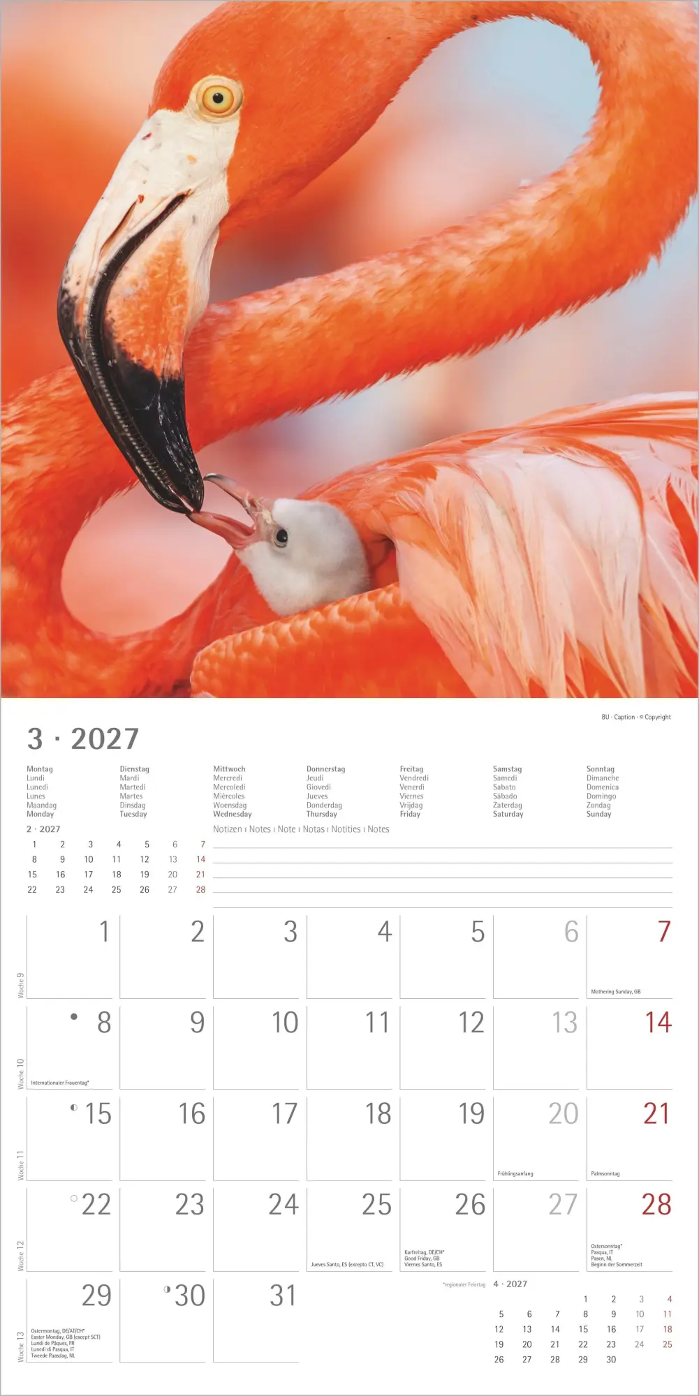 Bild: 4069095018877 | Tierbabys 2027 | Neumann Verlage GmbH &amp; Co KG | Kalender | 14 S.