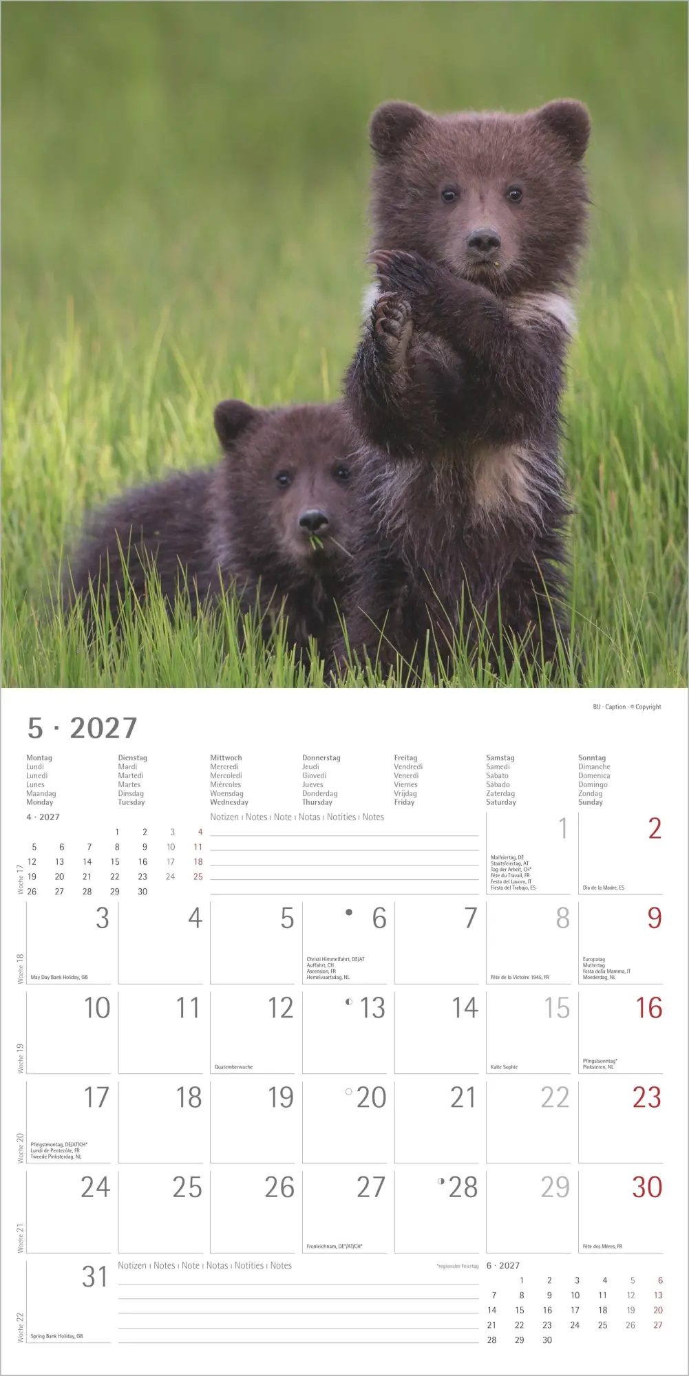 Bild: 4069095018877 | Tierbabys 2027 | Neumann Verlage GmbH &amp; Co KG | Kalender | 14 S.