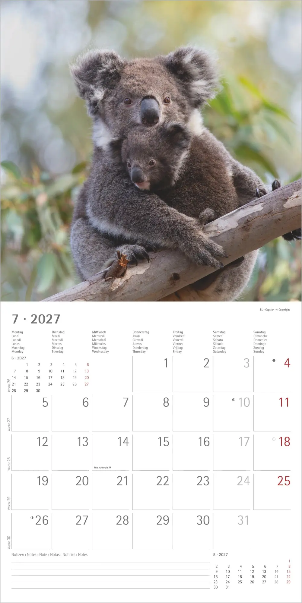 Bild: 4069095018877 | Tierbabys 2027 | Neumann Verlage GmbH &amp; Co KG | Kalender | 14 S.
