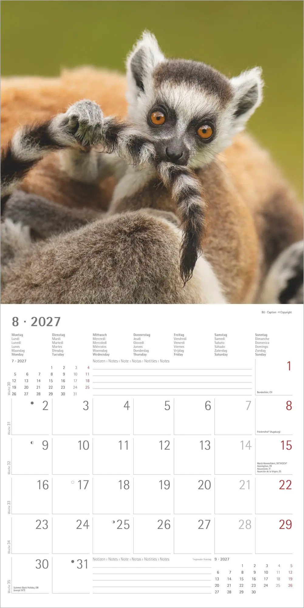 Bild: 4069095018877 | Tierbabys 2027 | Neumann Verlage GmbH &amp; Co KG | Kalender | 14 S.