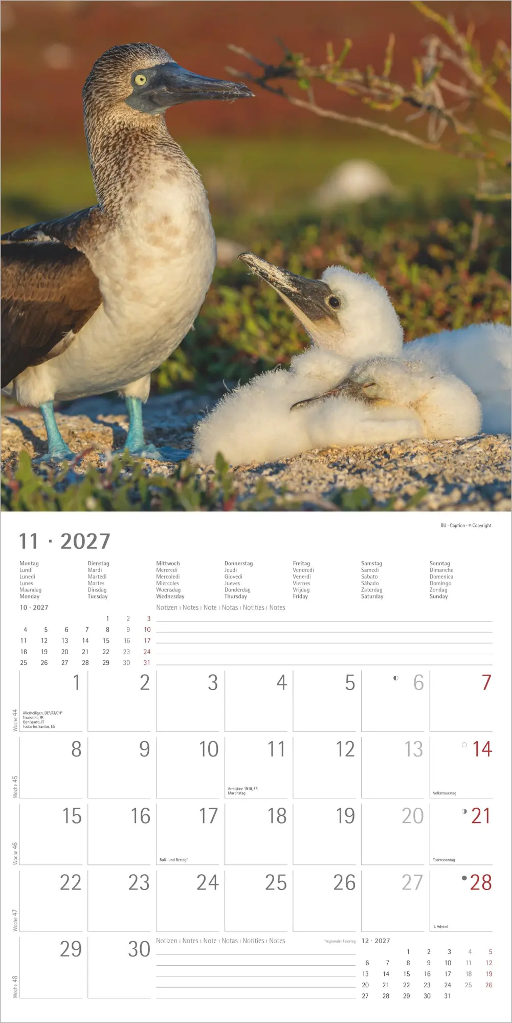 Bild: 4069095018877 | Tierbabys 2027 | Neumann Verlage GmbH &amp; Co KG | Kalender | 14 S.