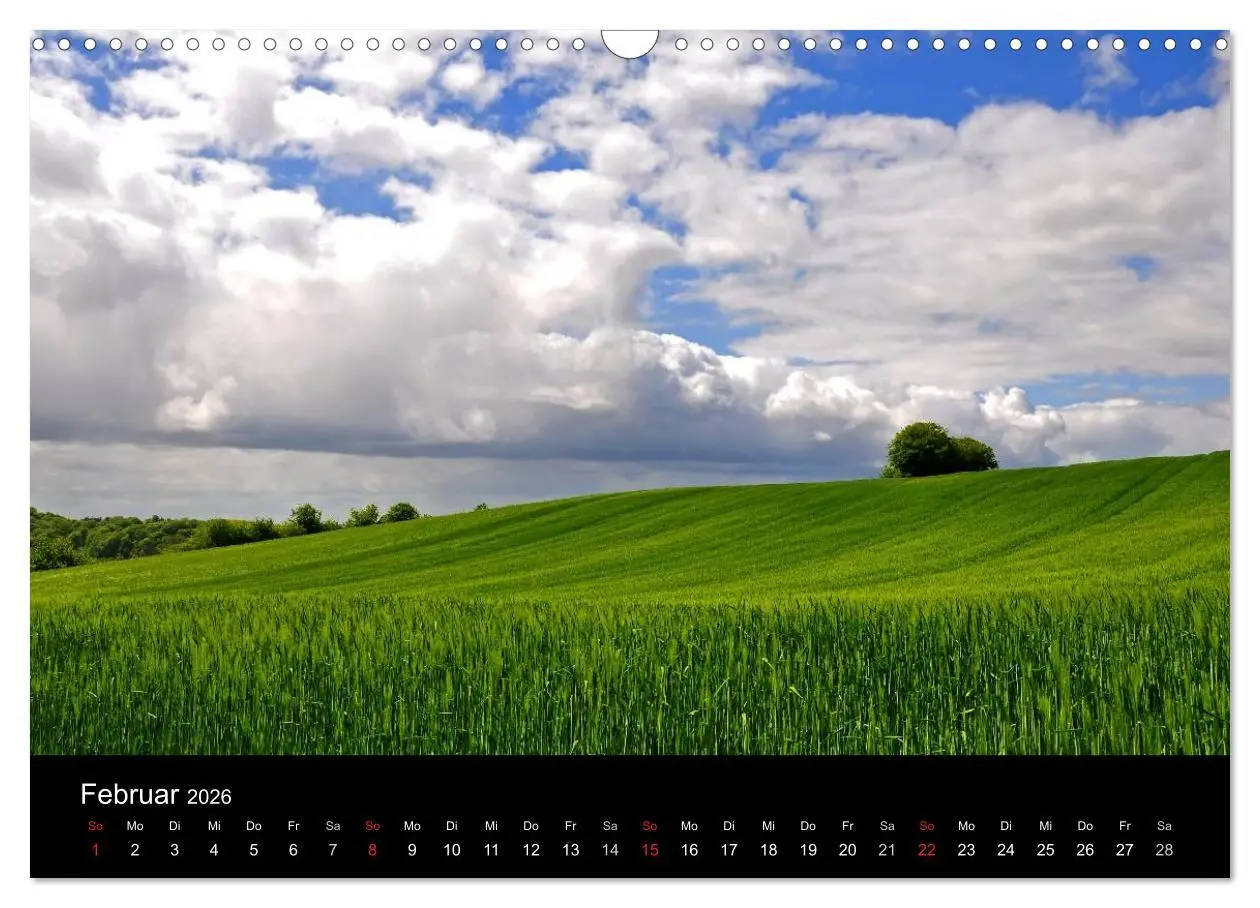 Bild: 9783516168877 | Plön - die Stadt am See (Wandkalender 2026 DIN A3 quer), CALVENDO...
