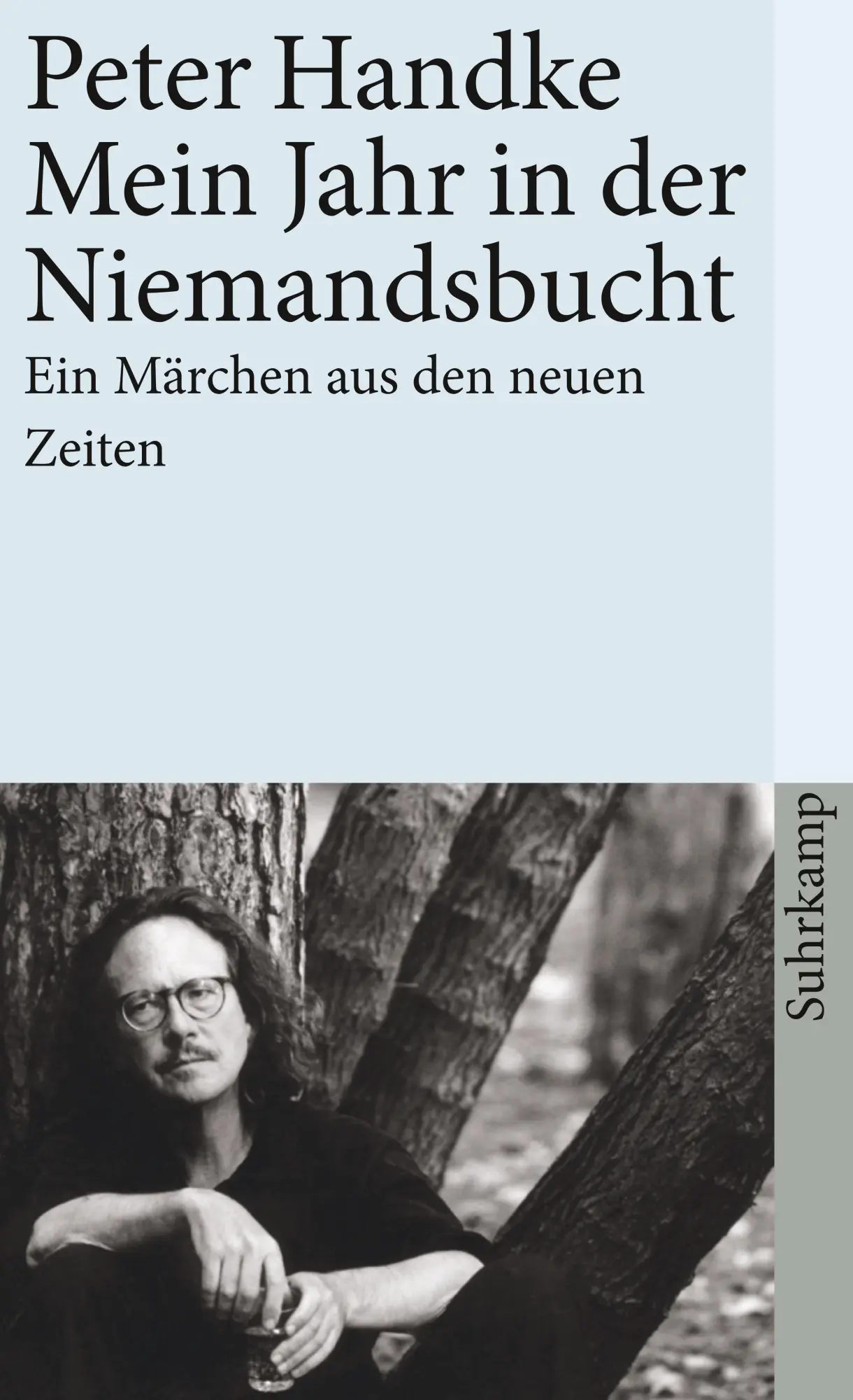 Cover: 9783518458877 | Mein Jahr in der Niemandsbucht | Ein Märchen aus den neuen Zeiten