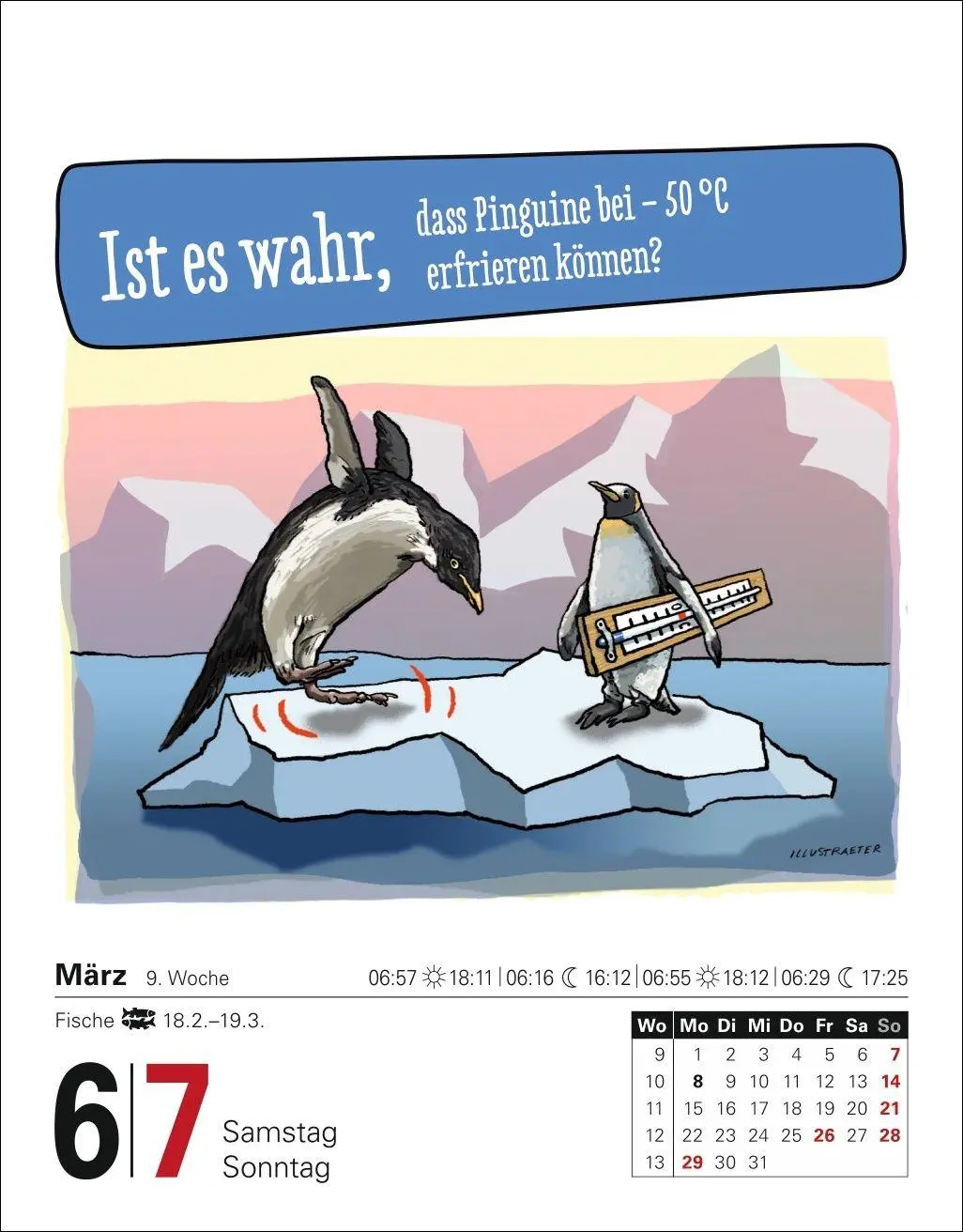 Bild: 9783840038877 | Ist es wahr, dass ...? Tagesabreißkalender 2027 - Alltagswissen auf...