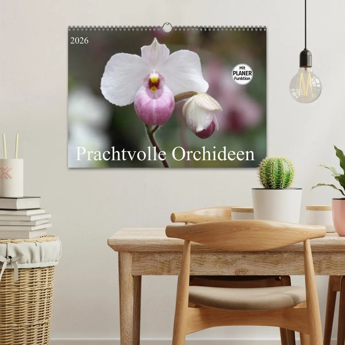 Bild: 9783457998977 | Prachtvolle Orchideen (Wandkalender 2026 DIN A3 quer), CALVENDO...