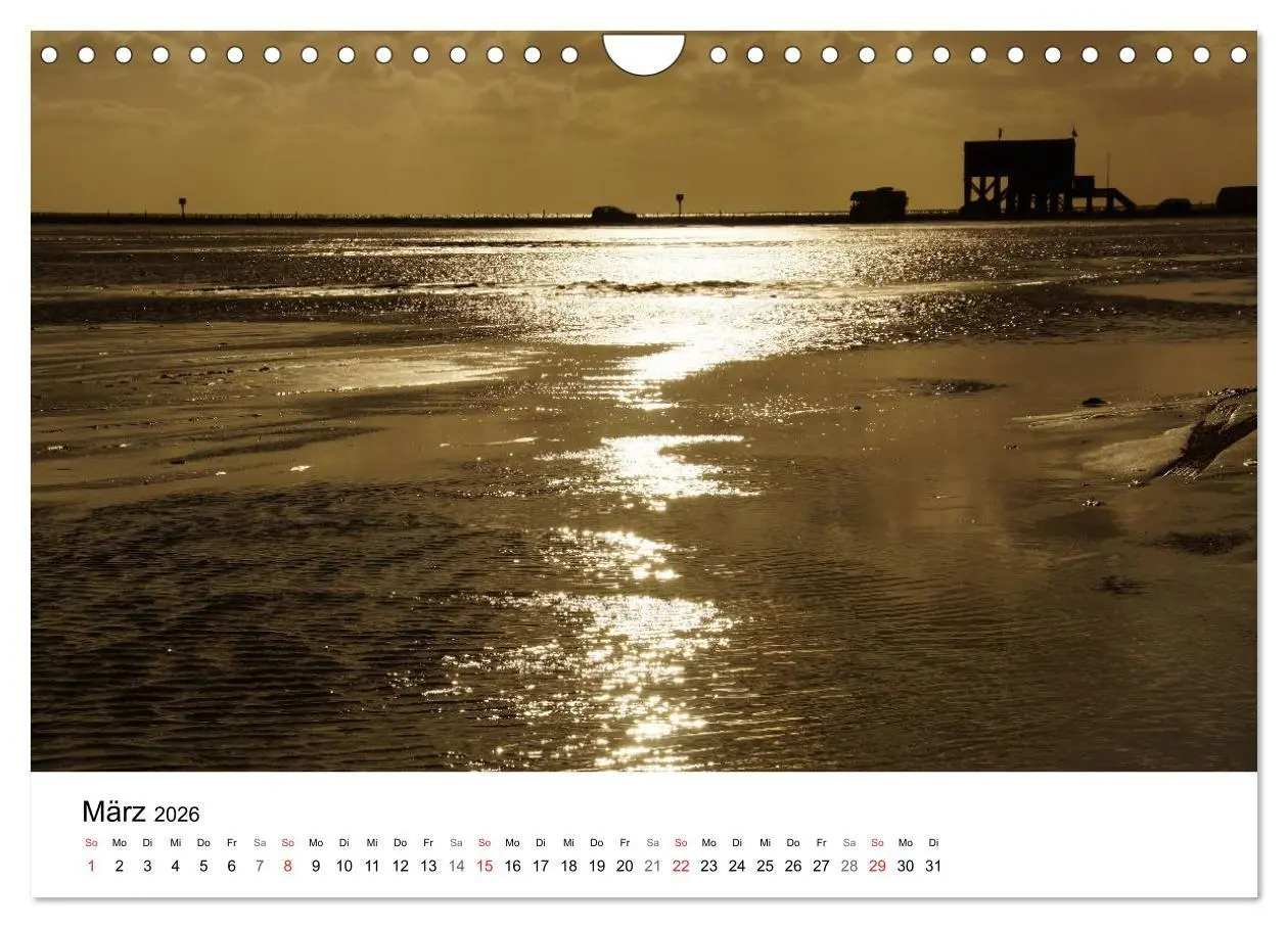 Bild: 9783516158977 | St. Peter Ording 2026 (Wandkalender 2026 DIN A4 quer), CALVENDO...