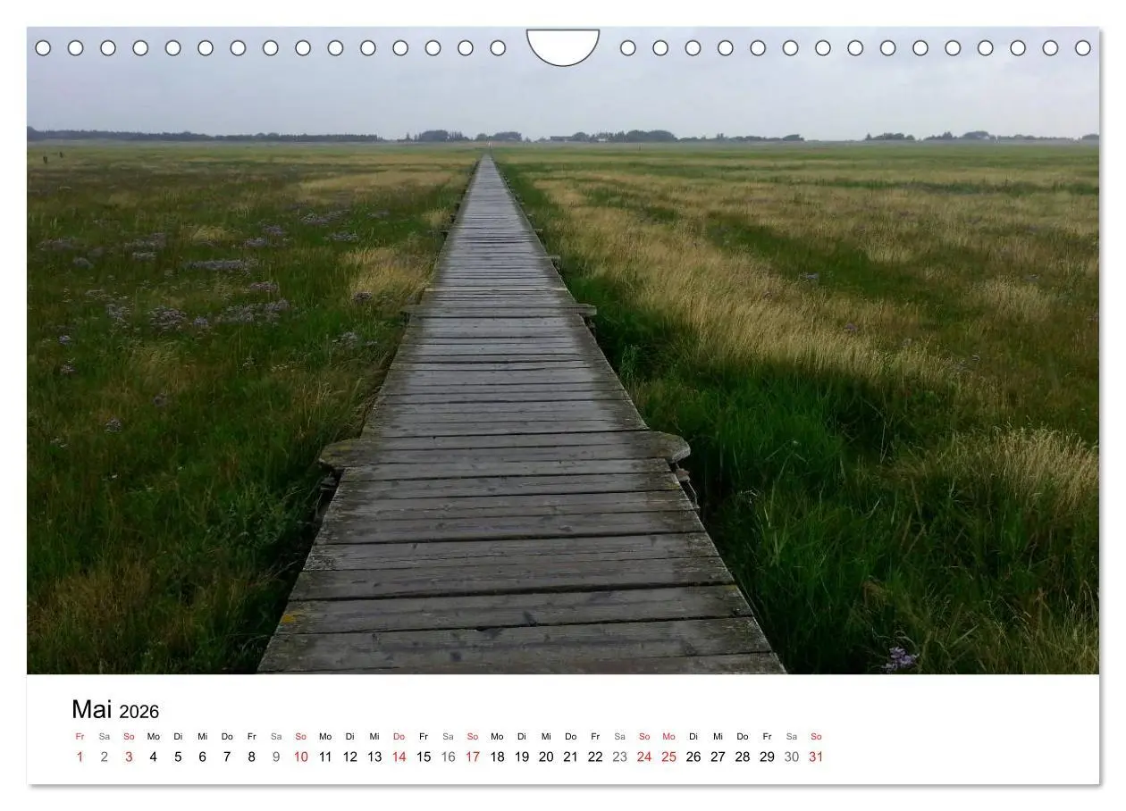 Bild: 9783516158977 | St. Peter Ording 2026 (Wandkalender 2026 DIN A4 quer), CALVENDO...