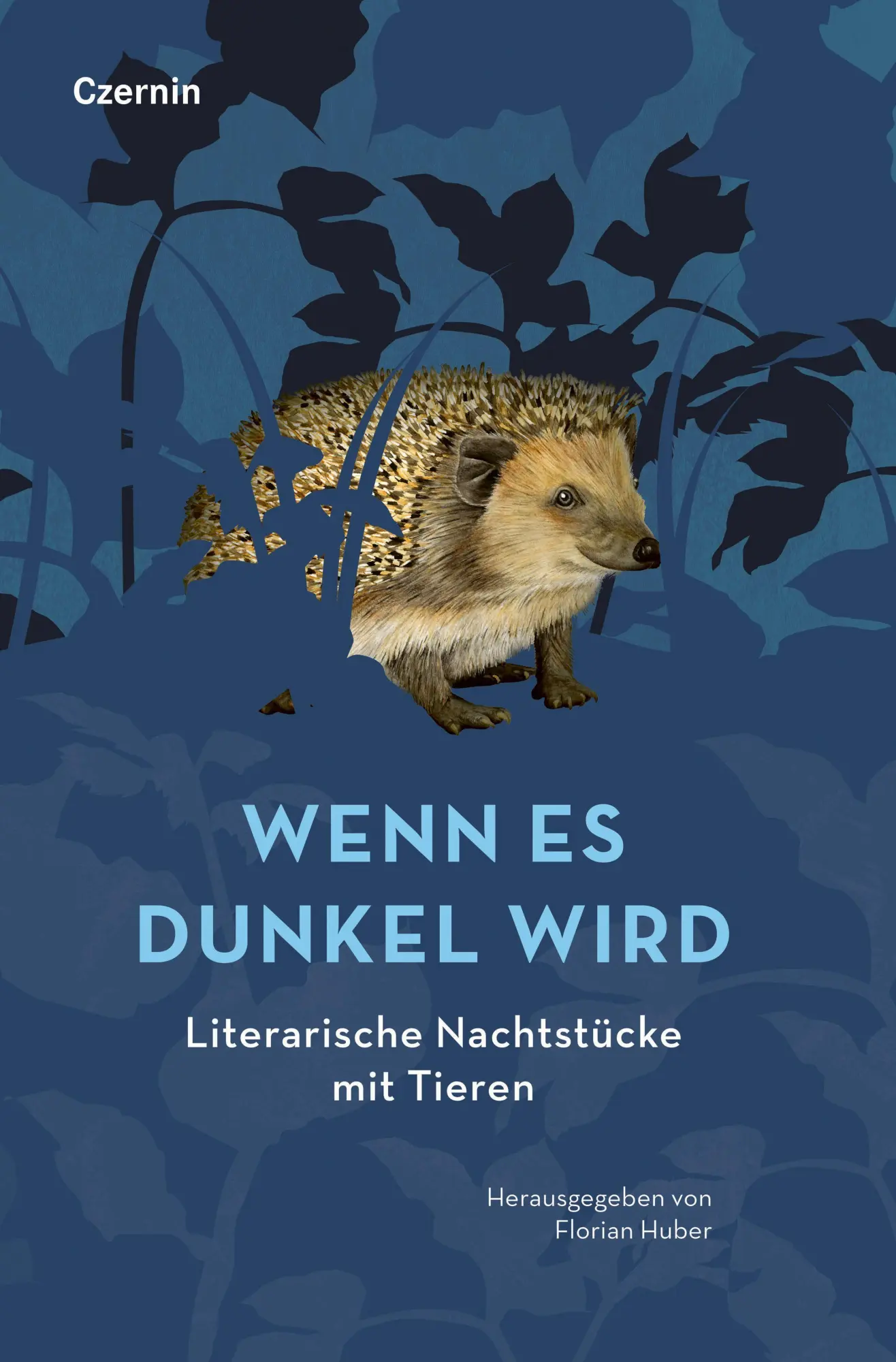 Wenn es dunkel wird - Neuware