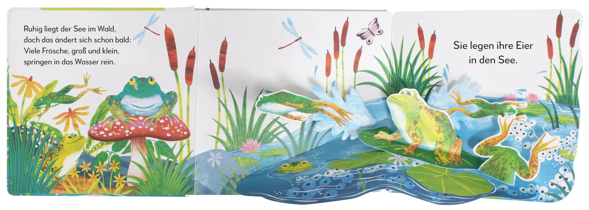 Bild: 9783831048977 | Mein Pop-up-Buch zum Staunen. Wo kommst du her, kleiner Frosch? | Buch
