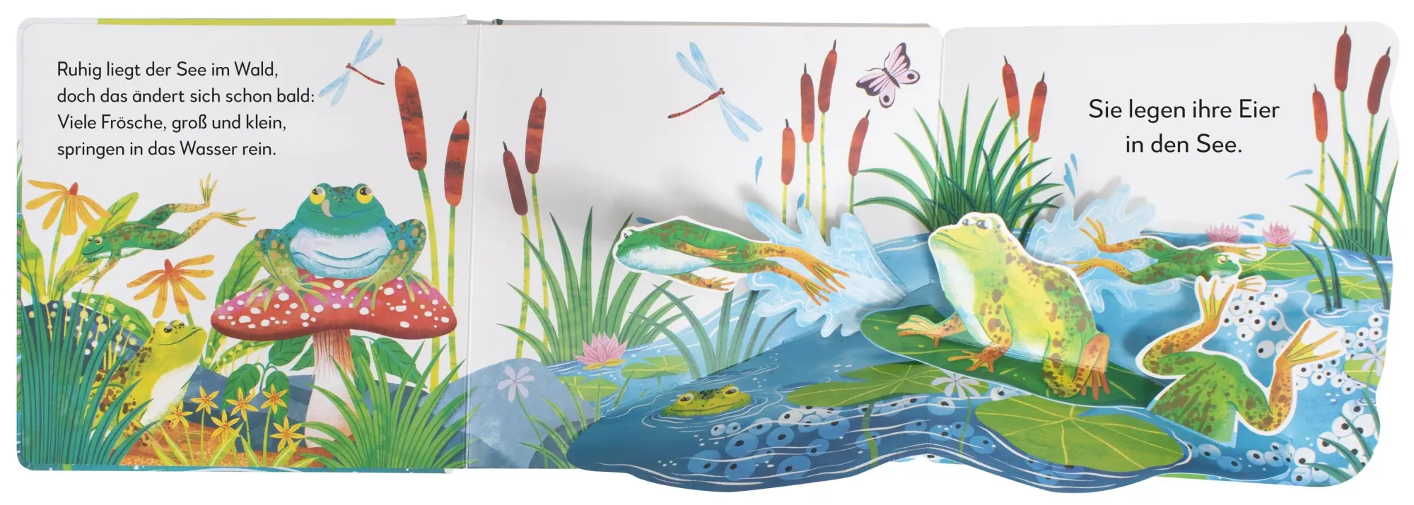 Bild: 9783831048977 | Mein Pop-up-Buch zum Staunen. Wo kommst du her, kleiner Frosch? | Buch