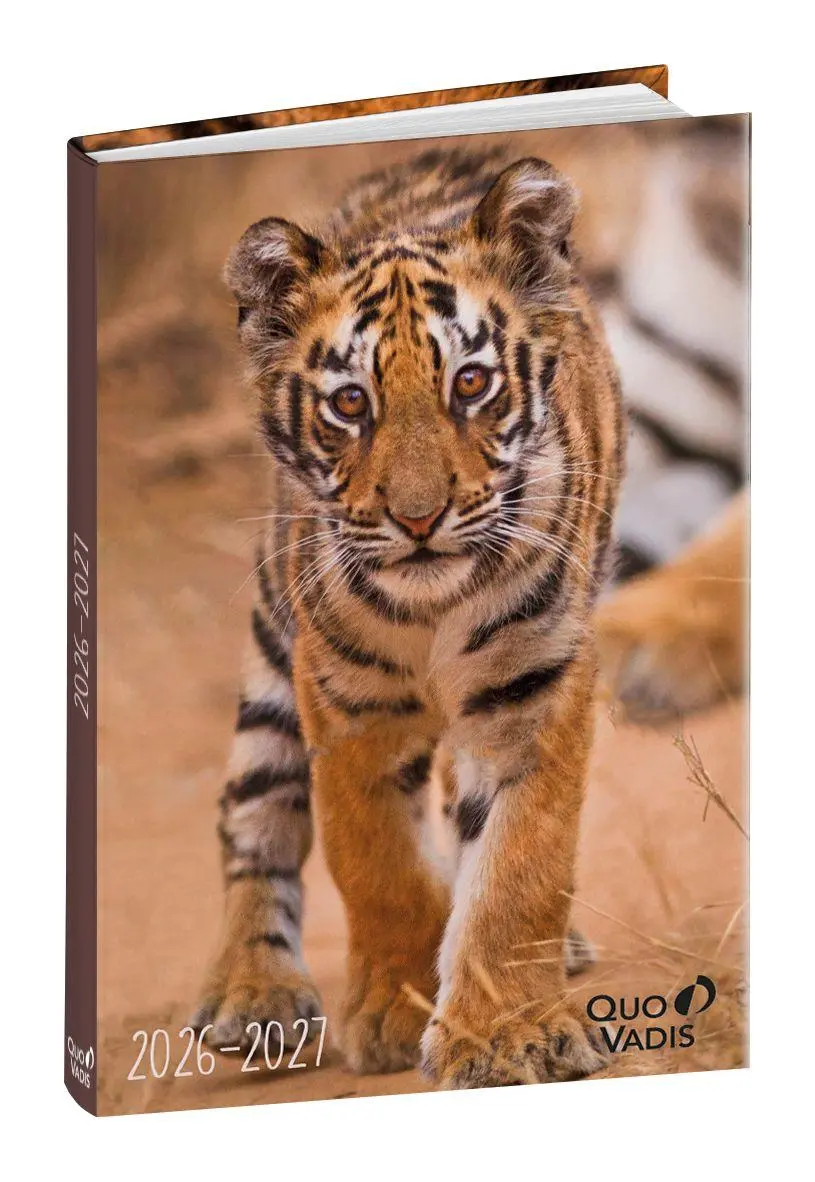 Cover: 3371010549177 | Schülerkalender Forum Tiere Tiger 2026 / 2027 | Schülerkalender | Buch