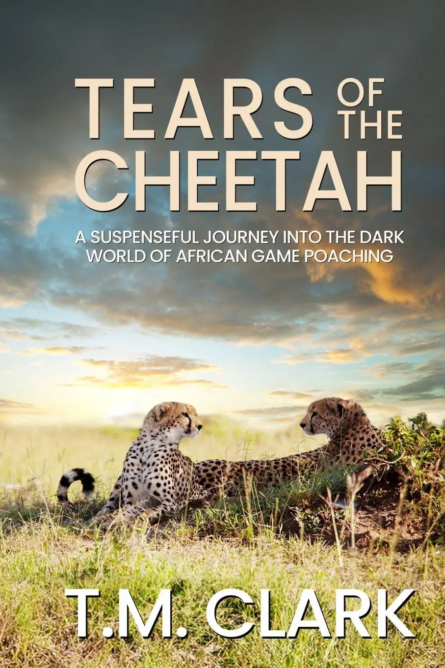 Cover: 9781923129177 | Tears of the Cheetah | T. M. Clark | Taschenbuch | Englisch | 2024