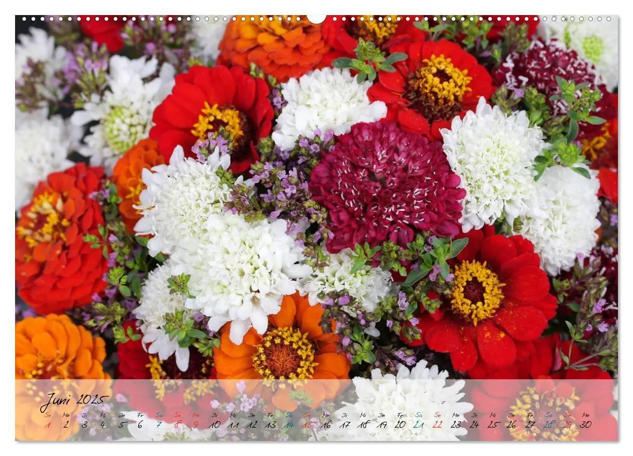 Bild: 9783435619177 | Blüten dicht an dicht (Wandkalender 2025 DIN A2 quer), CALVENDO...