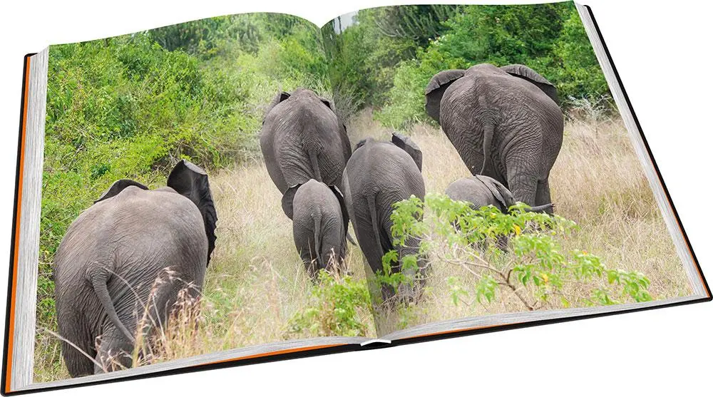 Bild: 9783943969177 | Perle Afrikas | Faszination Uganda | Andreas Klotz | Buch | 312 S.