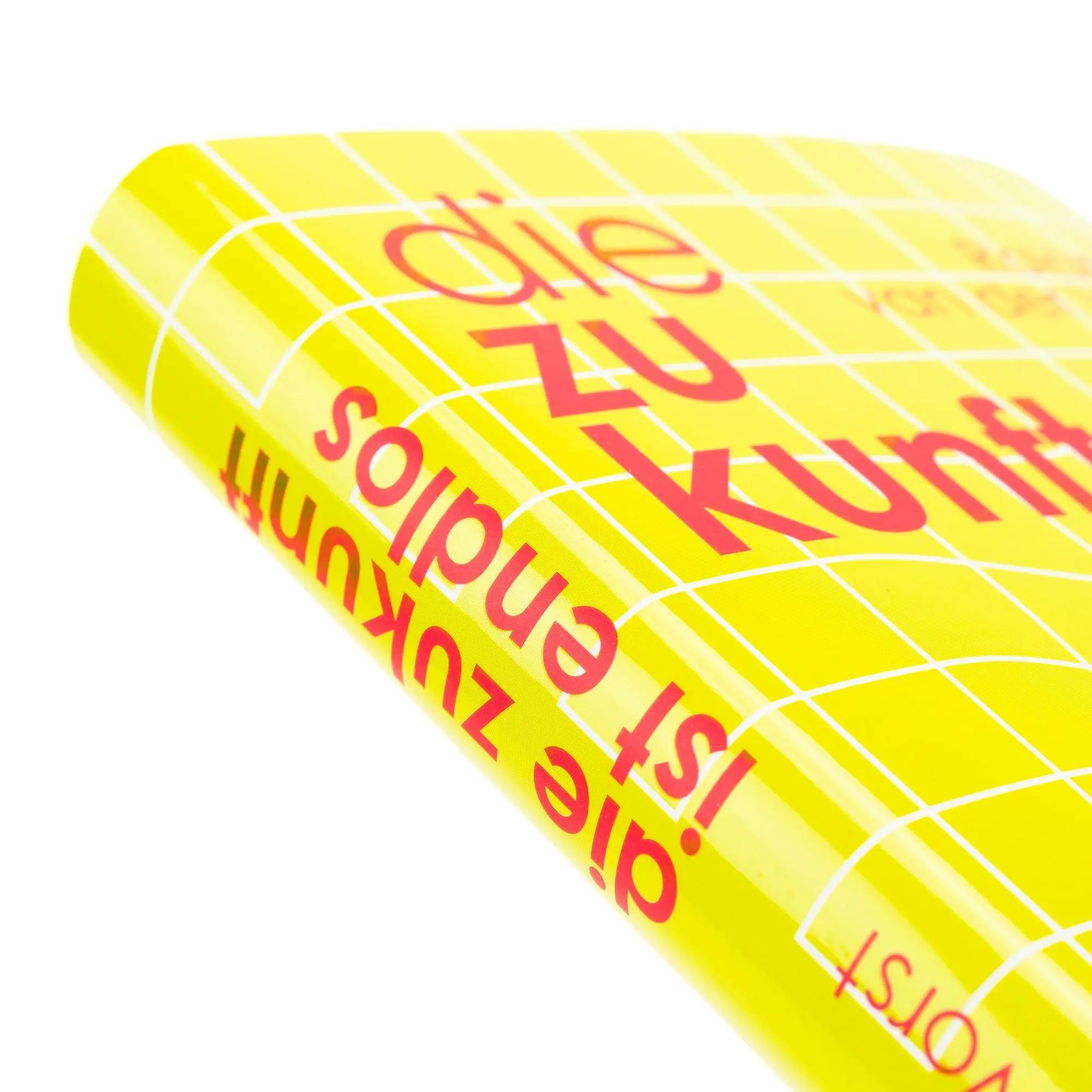 Bild: 9783365009277 | Die Zukunft ist endlos. Denken in der digitalen Welt | Vorst | Buch