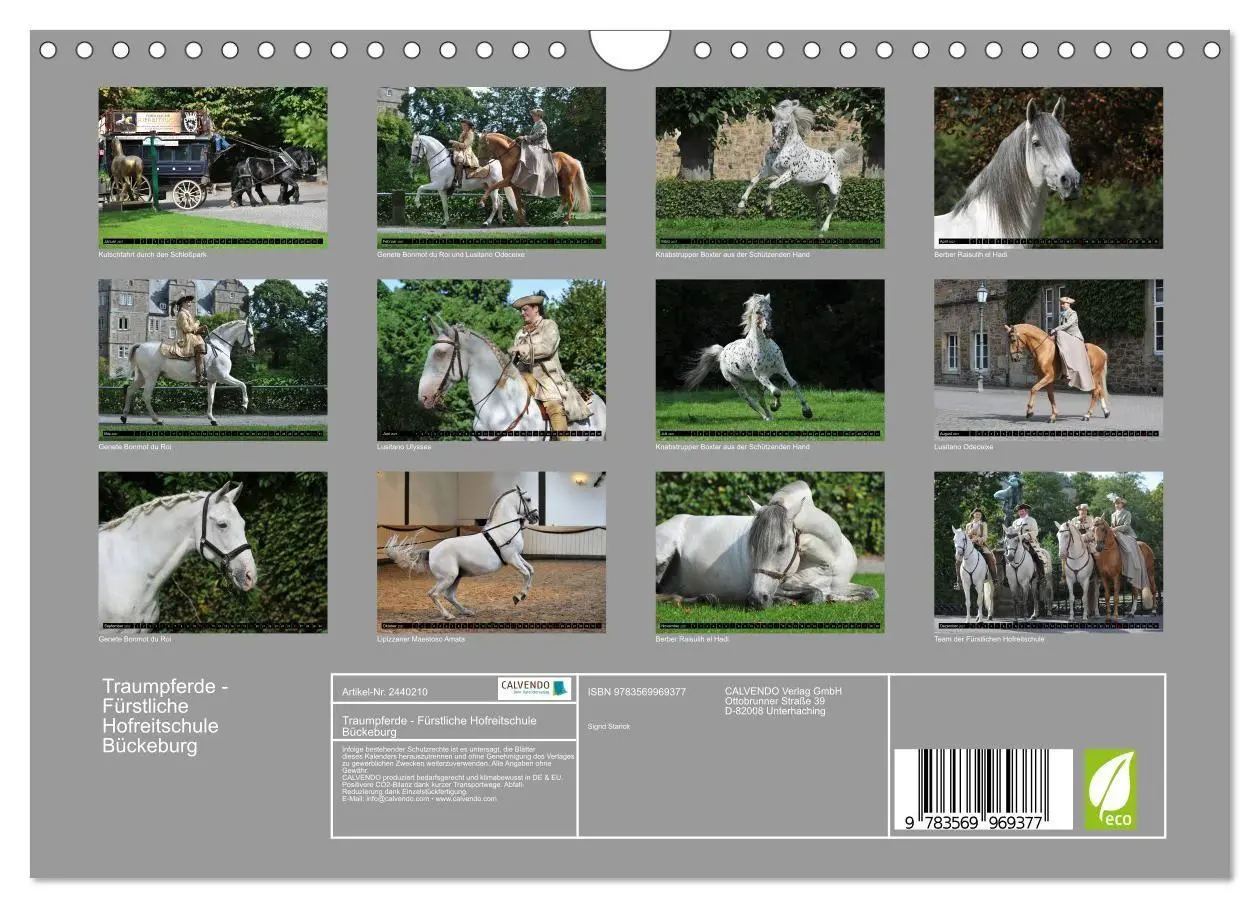 Bild: 9783569969377 | Traumpferde - Fürstliche Hofreitschule Bückeburg (Wandkalender 2027...