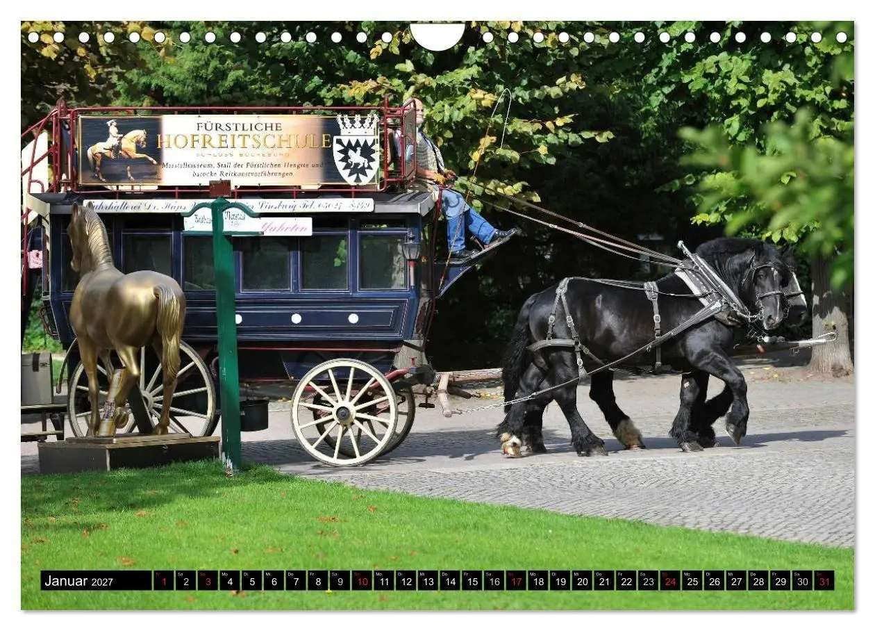 Bild: 9783569969377 | Traumpferde - Fürstliche Hofreitschule Bückeburg (Wandkalender 2027...