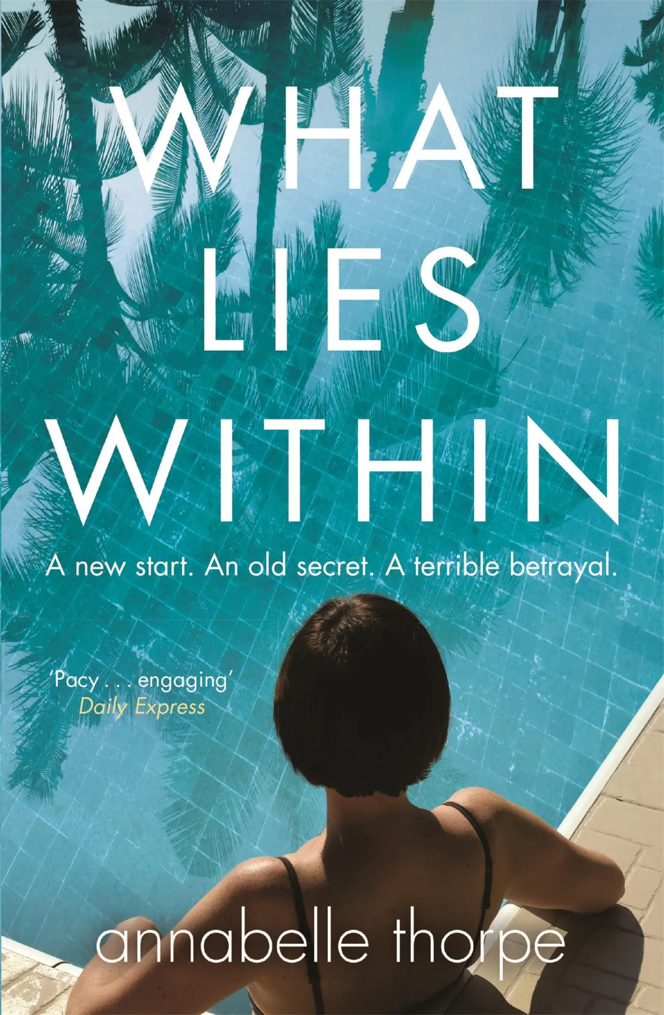 Cover: 9781784299477 | What Lies Within | The perfect gripping read | Annabelle Thorpe | Buch