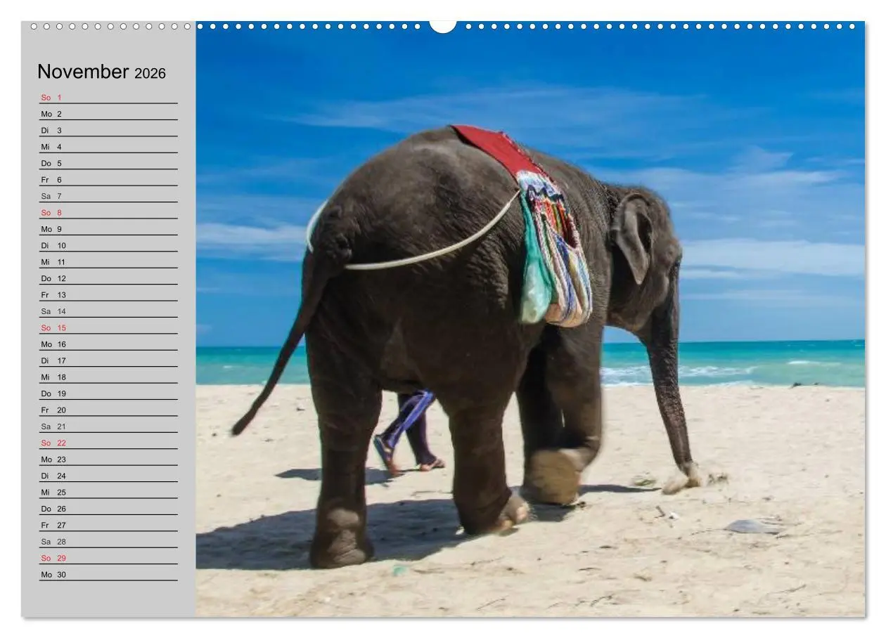 Bild: 9783516009477 | Elefanten. Spaß am Wasser (hochwertiger Premium Wandkalender 2026...
