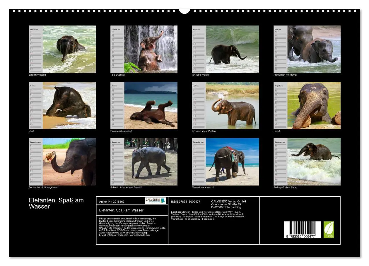 Bild: 9783516009477 | Elefanten. Spaß am Wasser (hochwertiger Premium Wandkalender 2026...