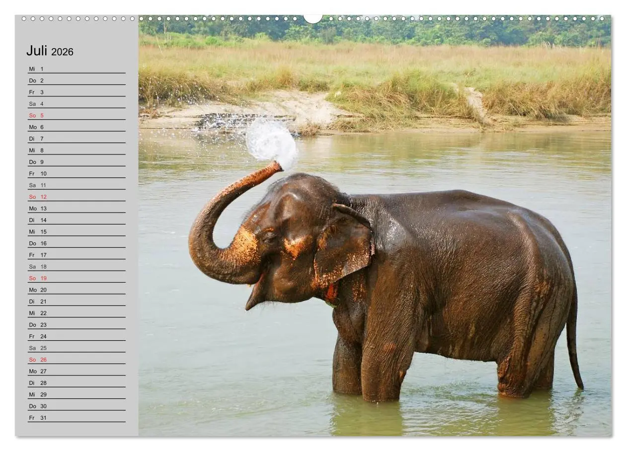 Bild: 9783516009477 | Elefanten. Spaß am Wasser (hochwertiger Premium Wandkalender 2026...