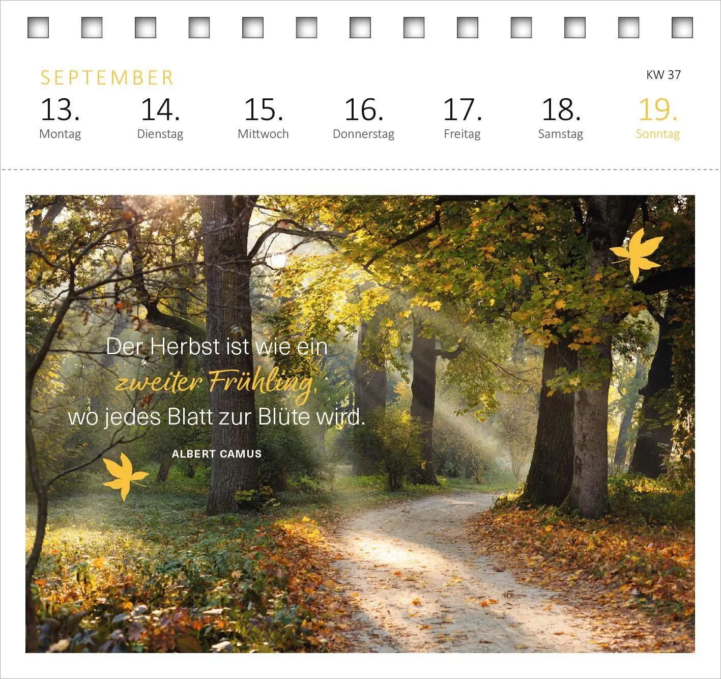 Bild: 4014489139577 | Postkartenkalender 365 Tage Achtsamkeit 2027 | Kalender | 108 S.