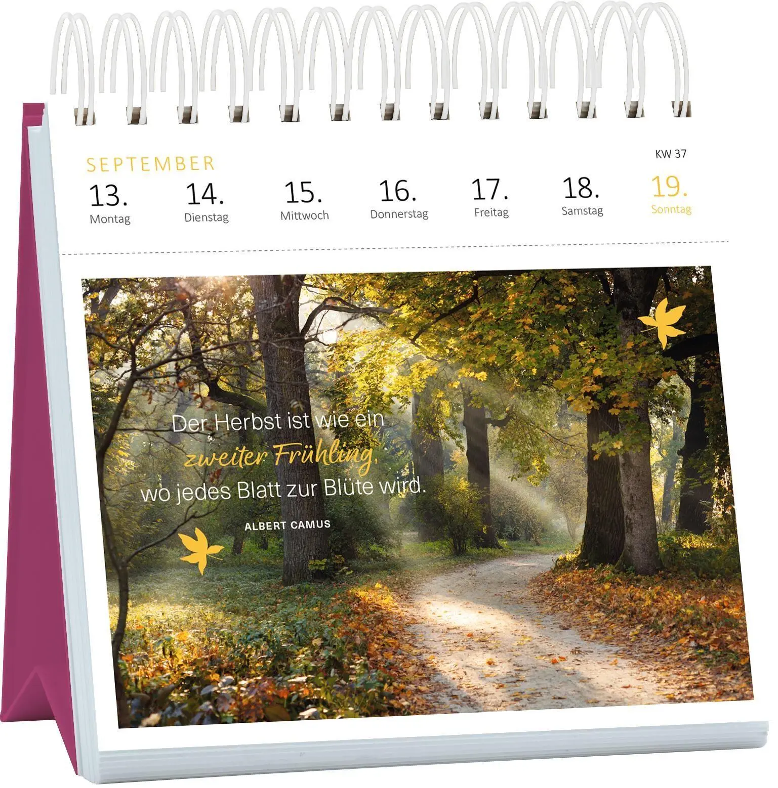 Bild: 4014489139577 | Postkartenkalender 365 Tage Achtsamkeit 2027 | Kalender | 108 S.