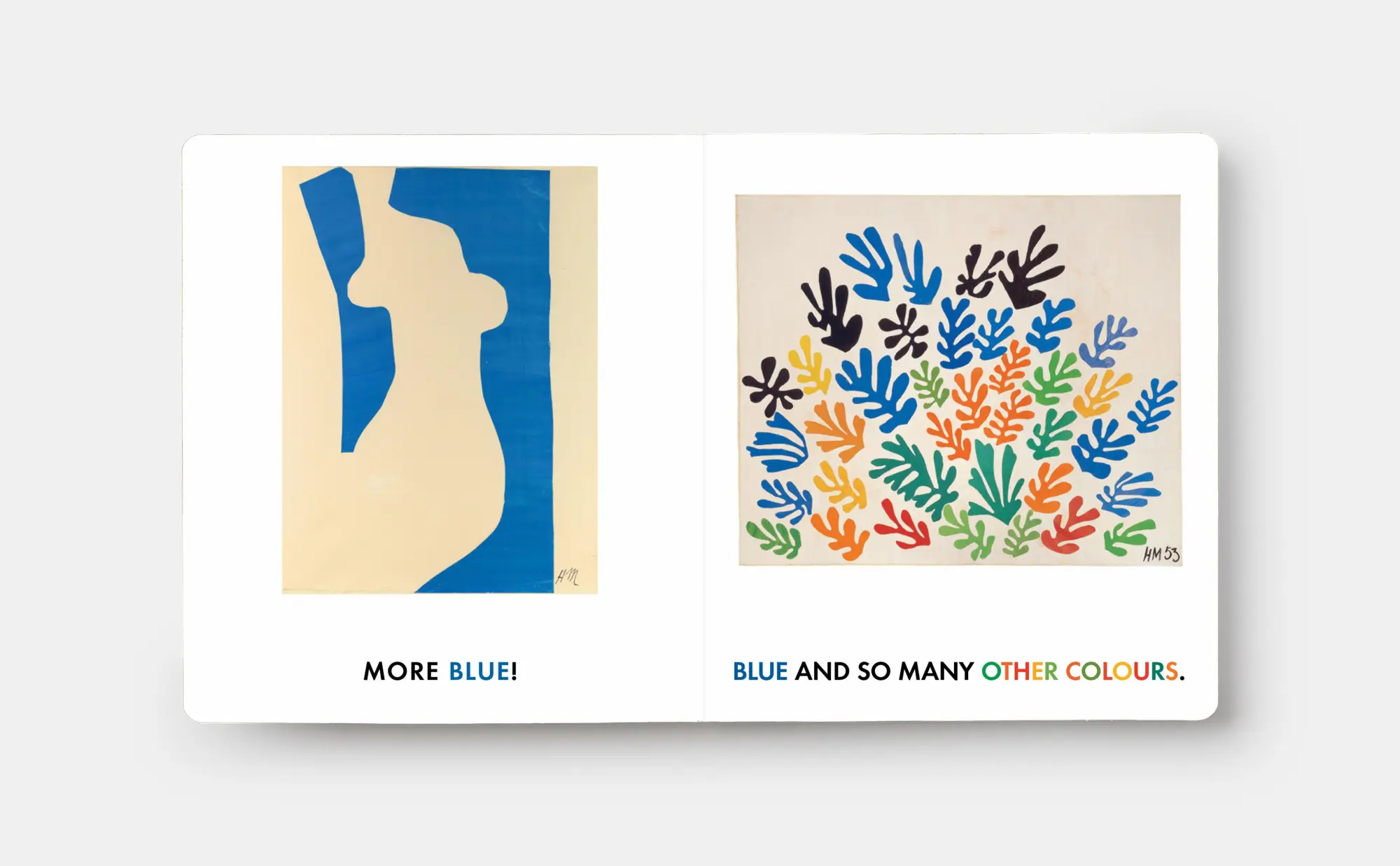 Bild: 9781838669577 | Blue &amp; Other Colours | with Henri Matisse | Phaidon Editors | Buch