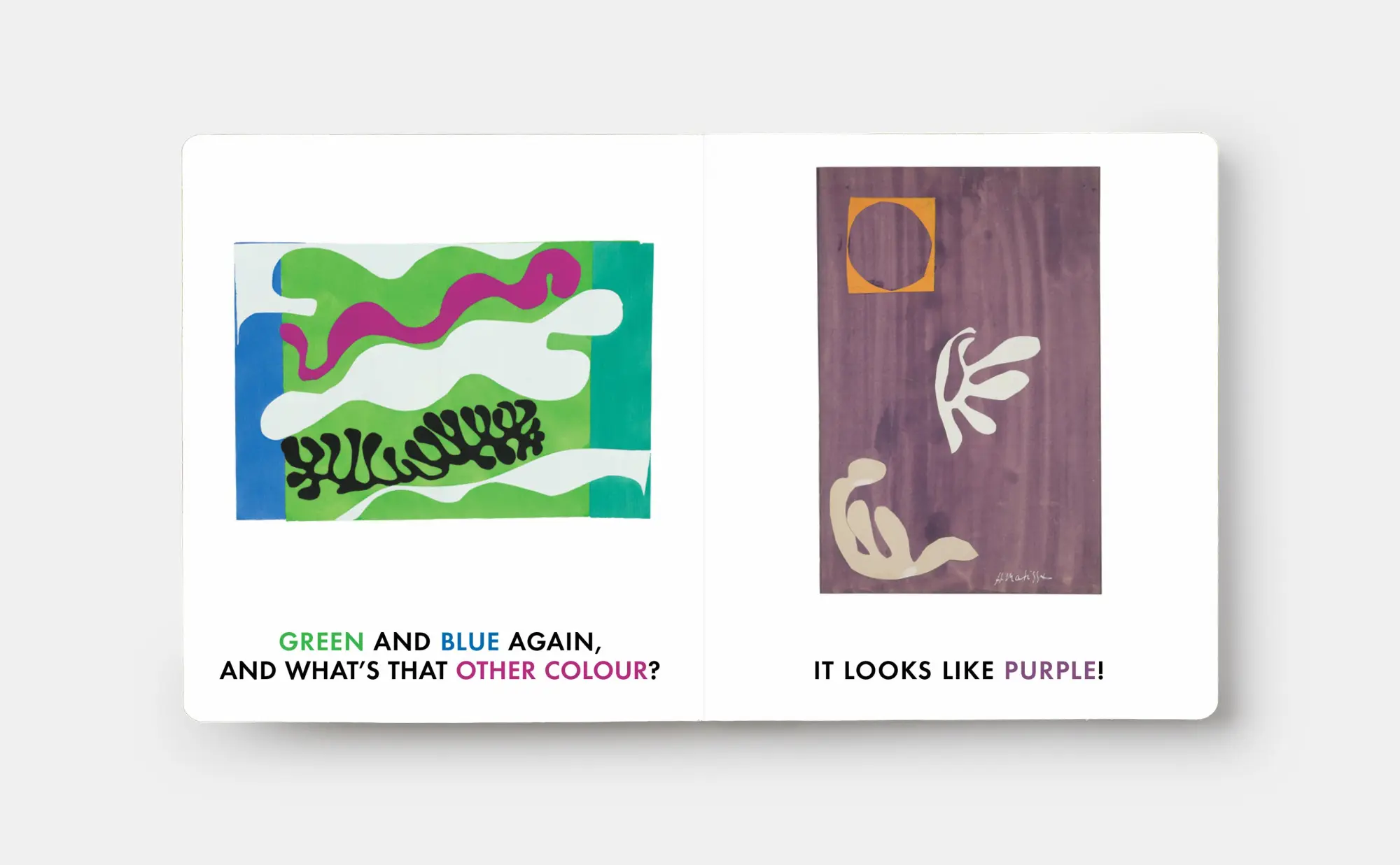Bild: 9781838669577 | Blue &amp; Other Colours | with Henri Matisse | Phaidon Editors | Buch