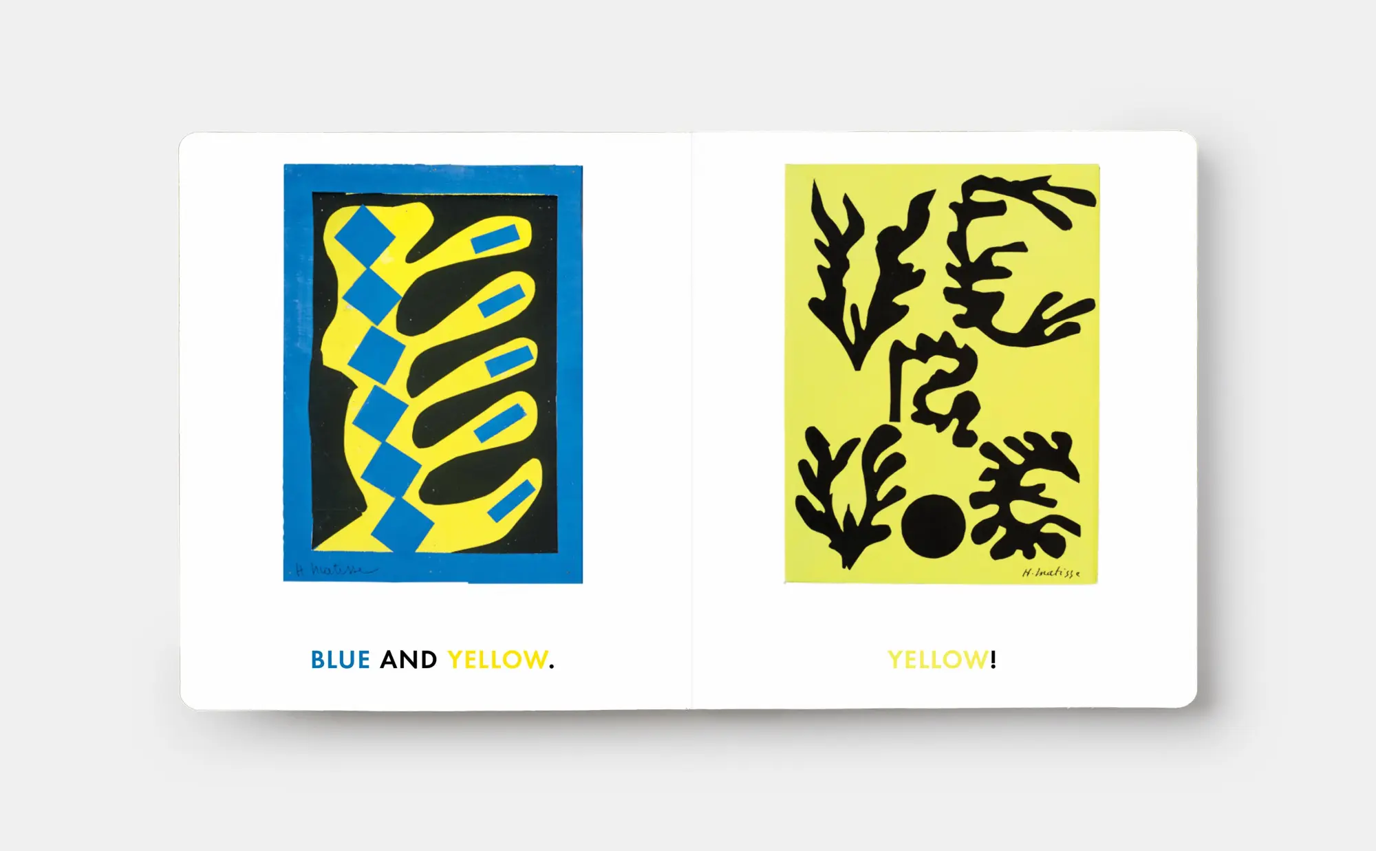 Bild: 9781838669577 | Blue &amp; Other Colours | with Henri Matisse | Phaidon Editors | Buch