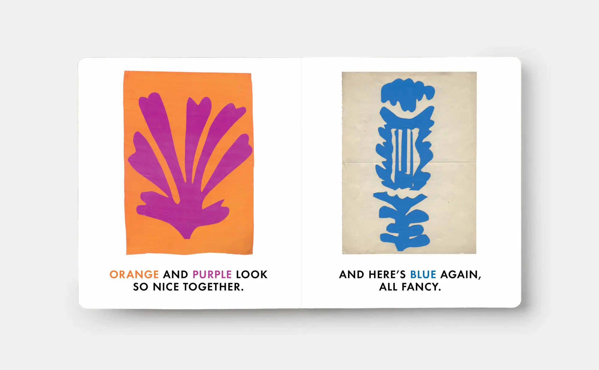 Bild: 9781838669577 | Blue &amp; Other Colours | with Henri Matisse | Phaidon Editors | Buch