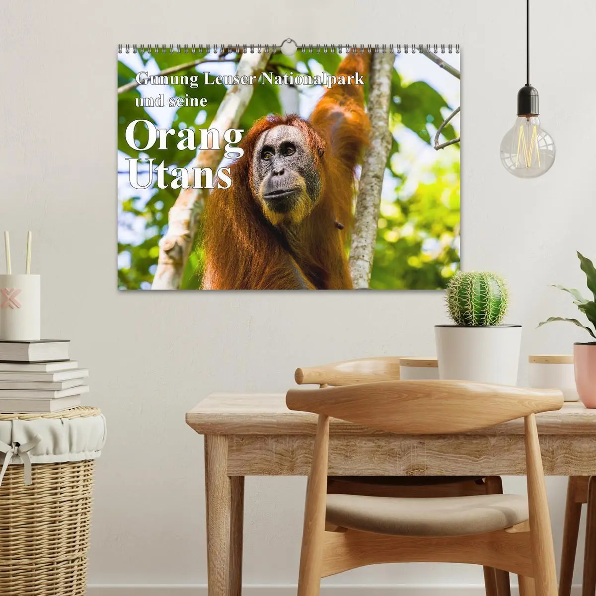 Bild: 9783457389577 | Gunung Leuser Nationalpark und seine Orang Utans (Wandkalender 2026...