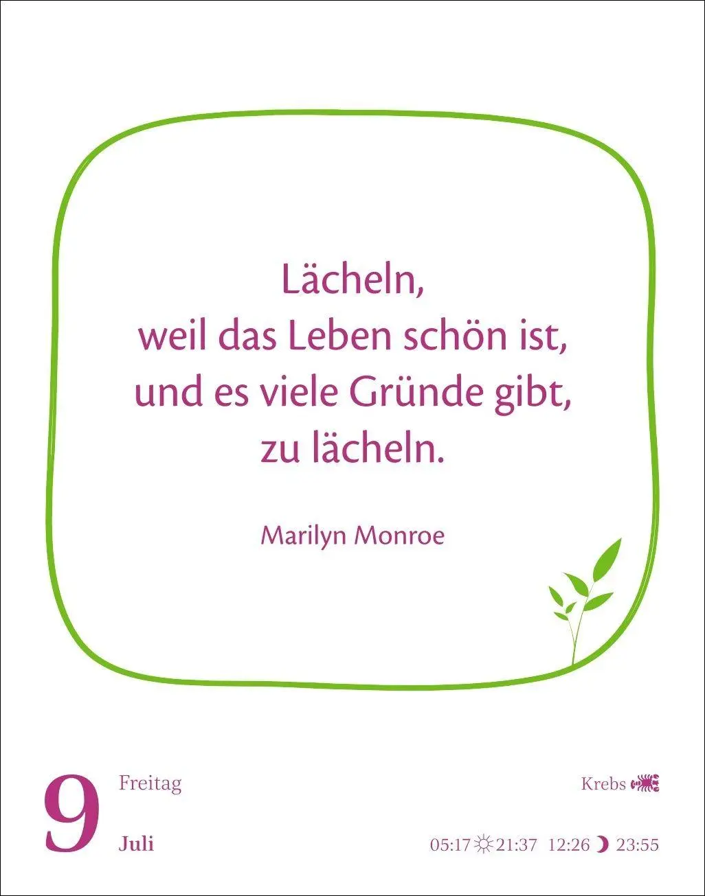 Bild: 9783840039577 | Heute ist dein Tag! Tagesabreißkalender 2027 - 313 positive Zitate...