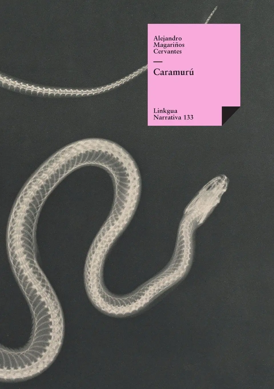 Cover: 9788490079577 | Caramurú | Alejandro Magariños Cervantes | Taschenbuch | Spanisch