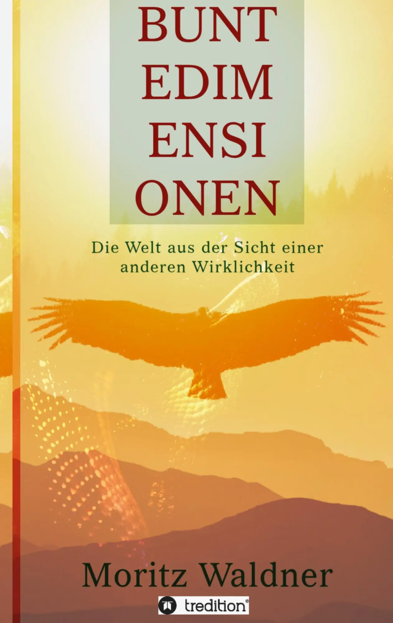 Cover: 9783347009677 | Bunte Dimensionen | Die Welt aus der Sicht einer anderen Wirklichkeit