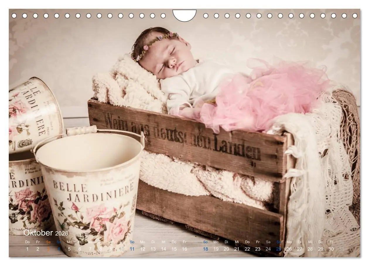 Bild: 9783516089677 | Baby - süße Träume (Wandkalender 2026 DIN A4 quer), CALVENDO...