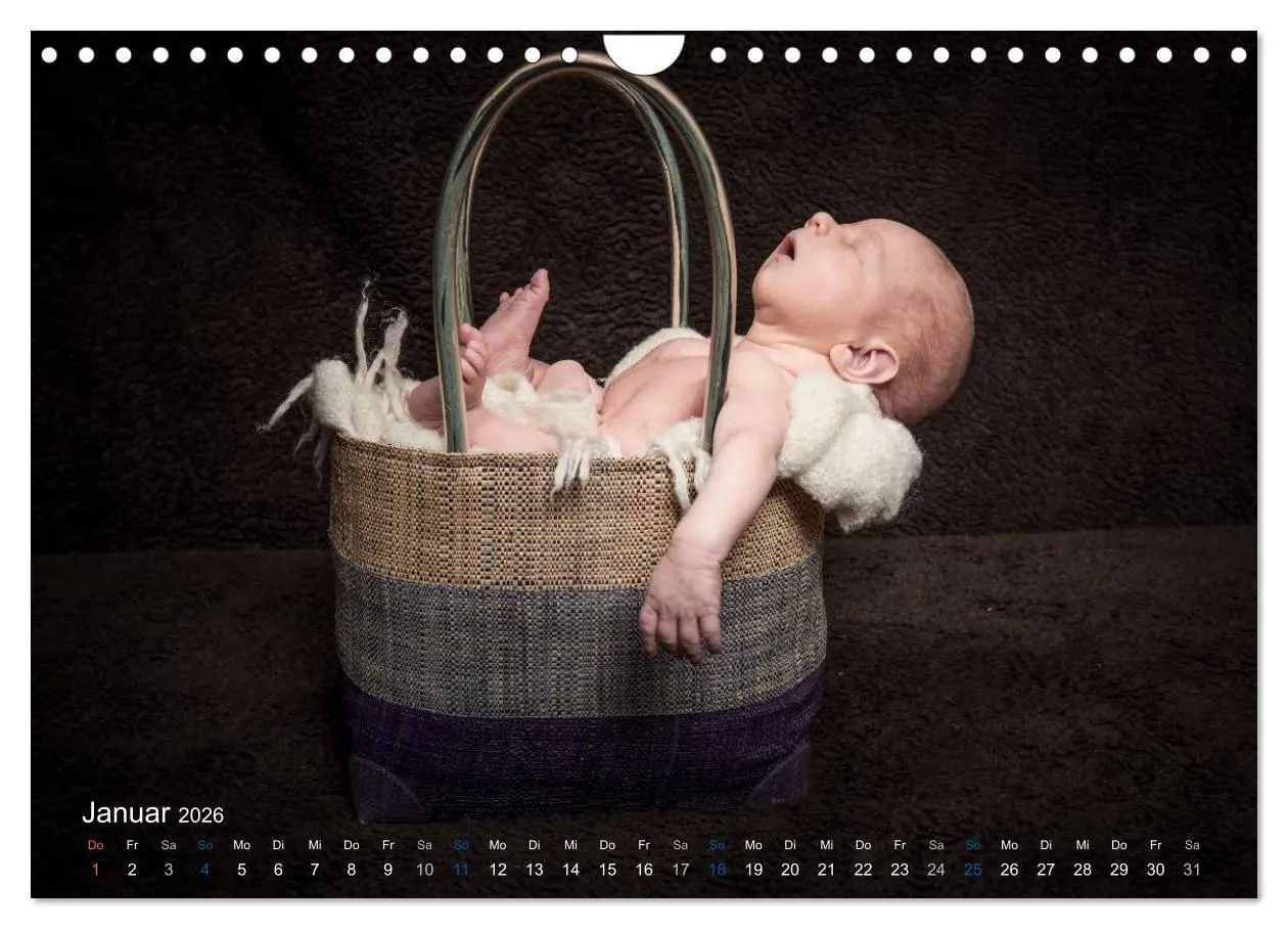 Bild: 9783516089677 | Baby - süße Träume (Wandkalender 2026 DIN A4 quer), CALVENDO...