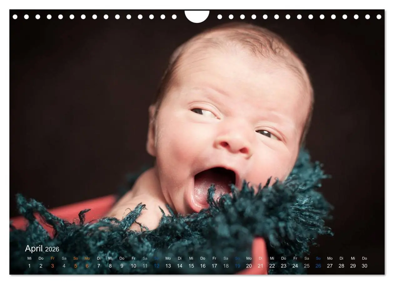 Bild: 9783516089677 | Baby - süße Träume (Wandkalender 2026 DIN A4 quer), CALVENDO...