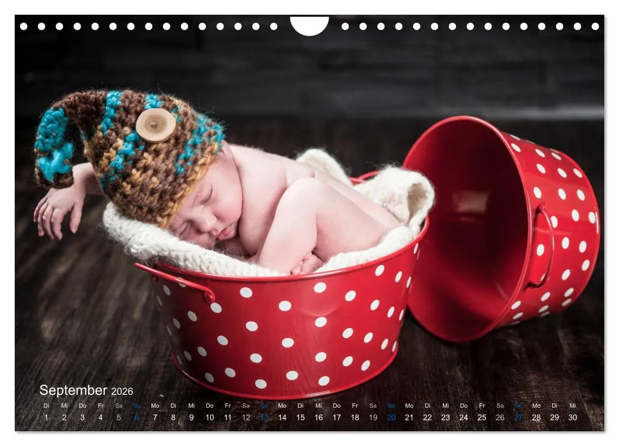 Bild: 9783516089677 | Baby - süße Träume (Wandkalender 2026 DIN A4 quer), CALVENDO...