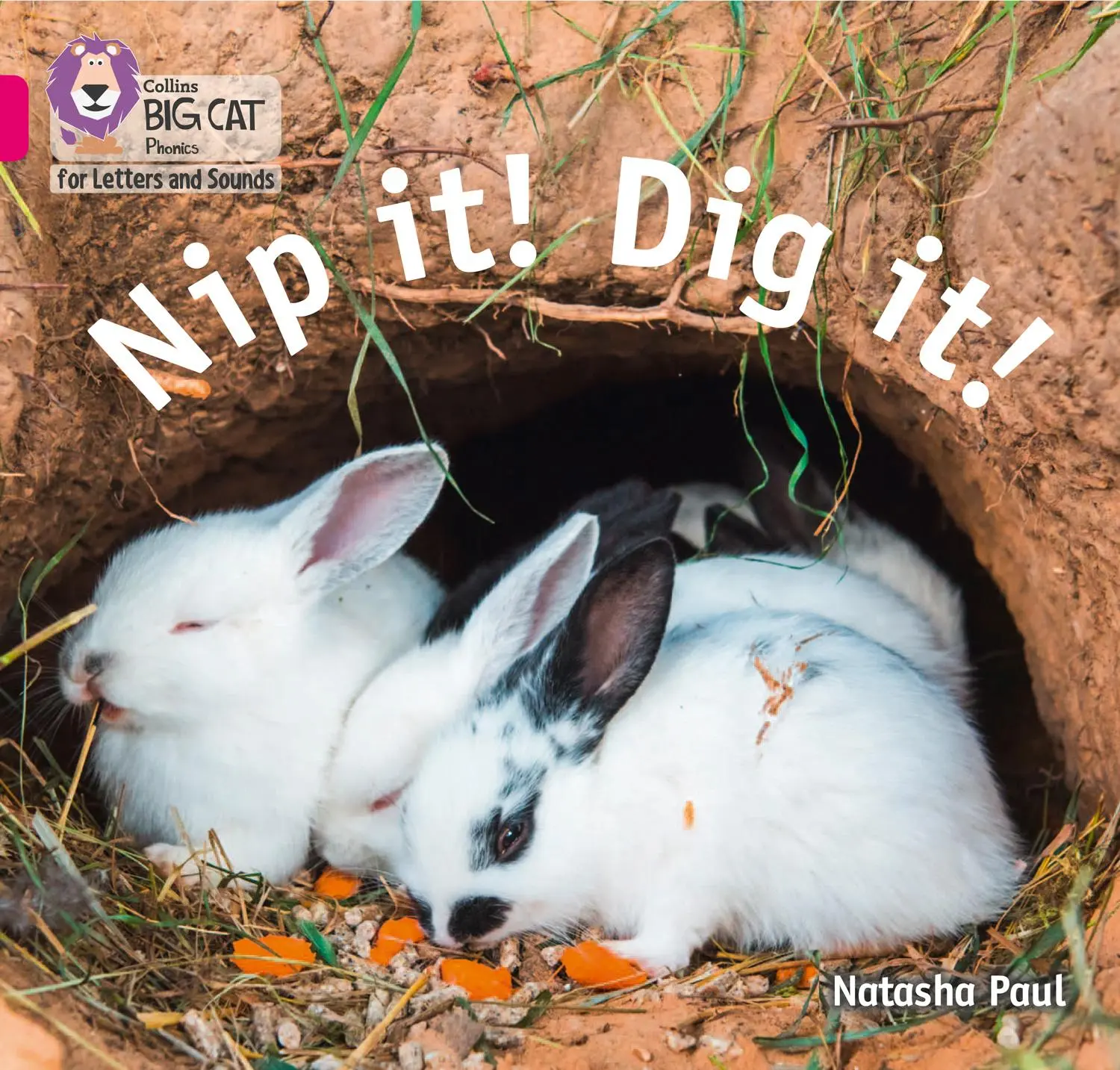 Cover: 9780008409777 | Nip it! Dig it! | Band 01b/Pink B | Natasha Paul | Taschenbuch | 2020