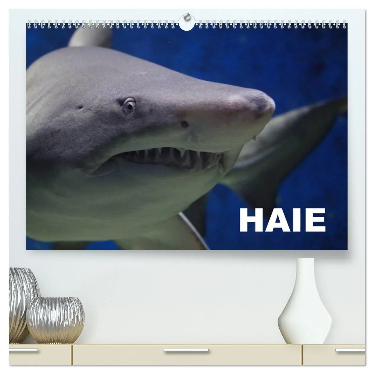 Cover: 9783457989777 | Haie (hochwertiger Premium Wandkalender 2026 DIN A2 quer),...