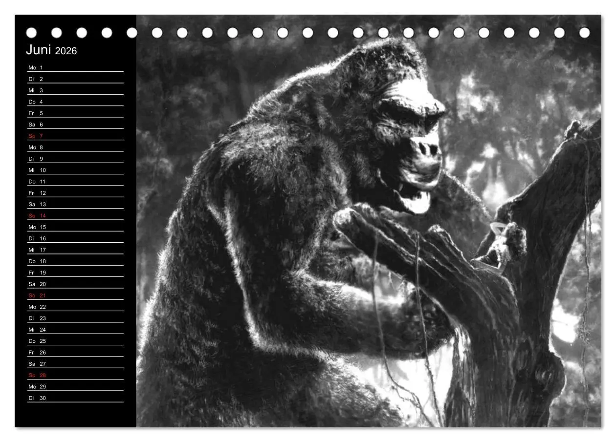 Bild: 9783516079777 | Kultfilme - schwarz-weiße Klassiker (Tischkalender 2026 DIN A5...