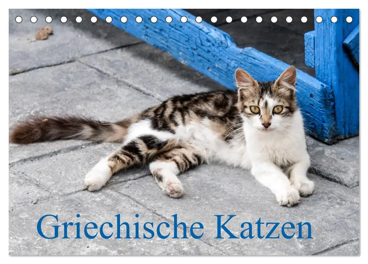 Cover: 9783516149777 | Griechische Katzen (Tischkalender 2026 DIN A5 quer), CALVENDO...