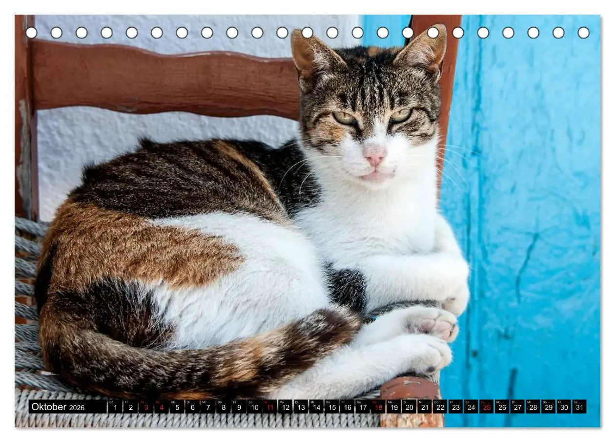 Bild: 9783516149777 | Griechische Katzen (Tischkalender 2026 DIN A5 quer), CALVENDO...