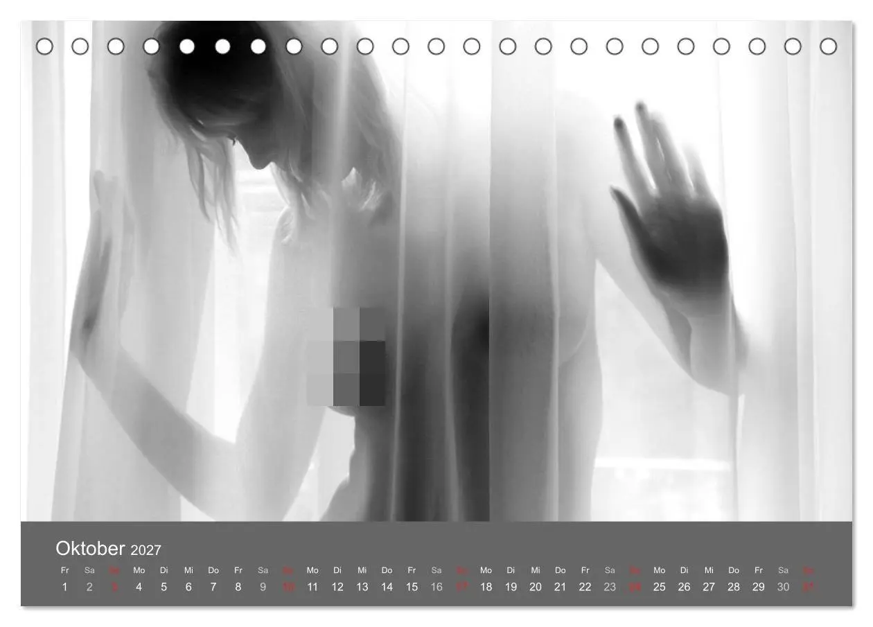 Bild: 9783569929777 | Akt und Visionen (Tischkalender 2027 DIN A5 quer), CALVENDO...