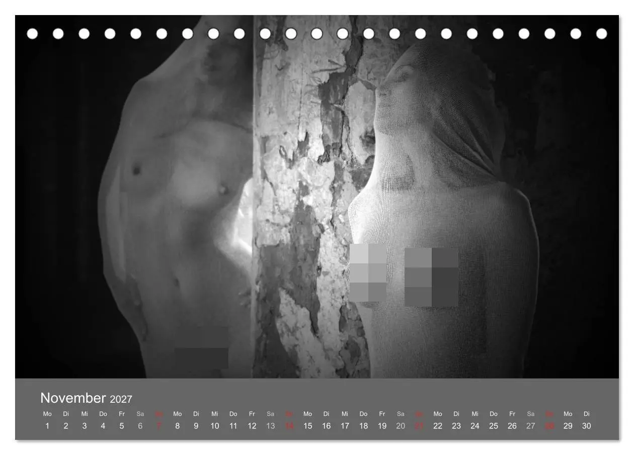 Bild: 9783569929777 | Akt und Visionen (Tischkalender 2027 DIN A5 quer), CALVENDO...