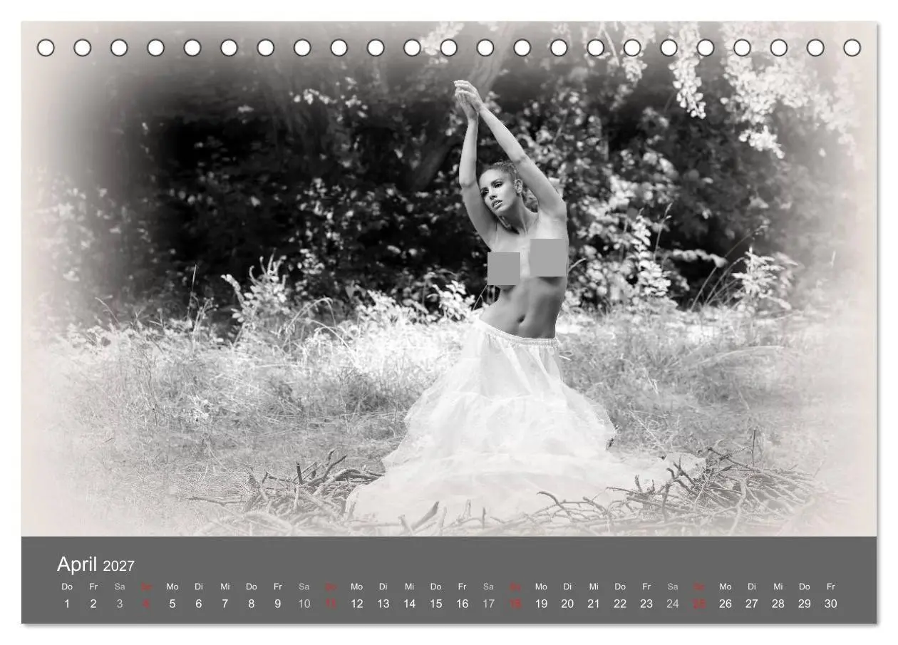 Bild: 9783569929777 | Akt und Visionen (Tischkalender 2027 DIN A5 quer), CALVENDO...
