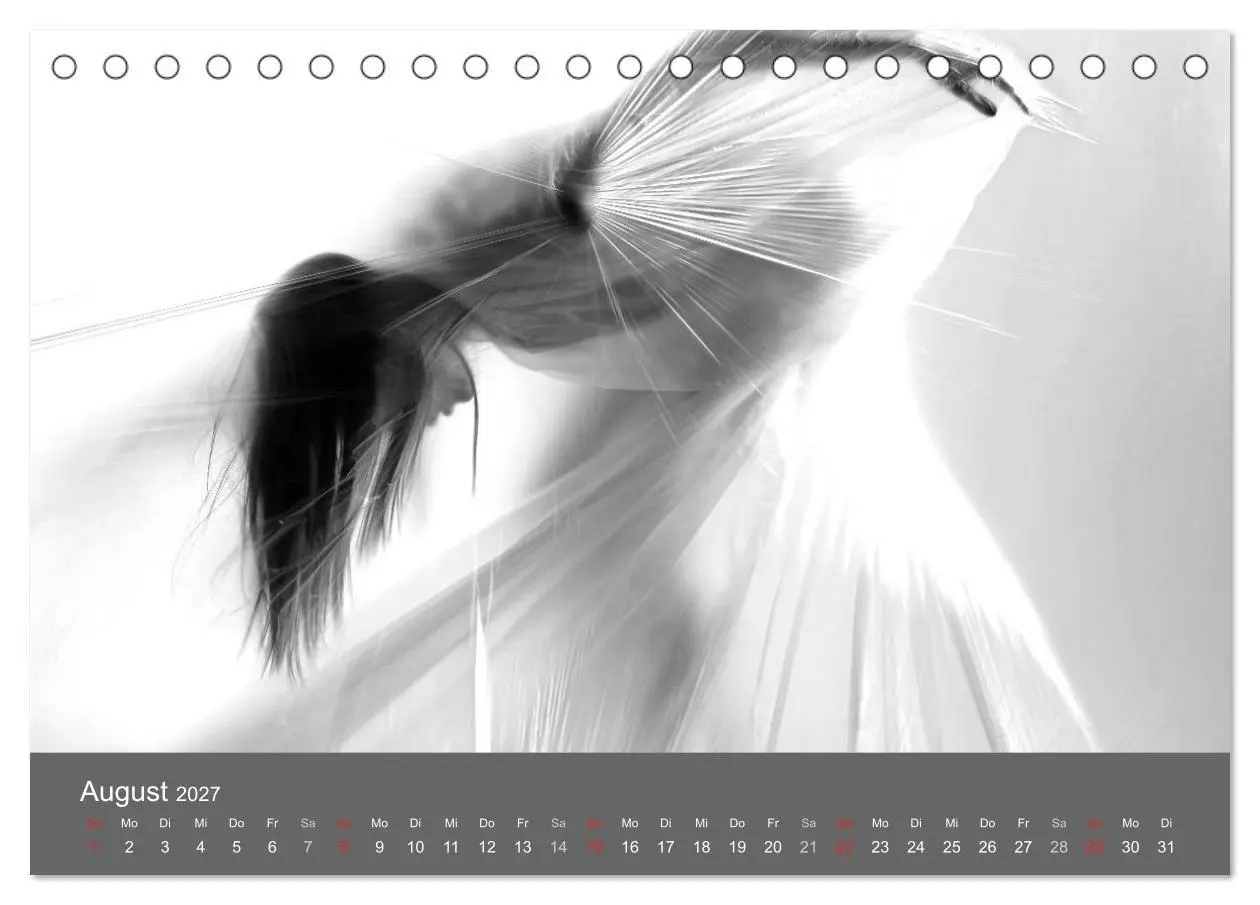 Bild: 9783569929777 | Akt und Visionen (Tischkalender 2027 DIN A5 quer), CALVENDO...